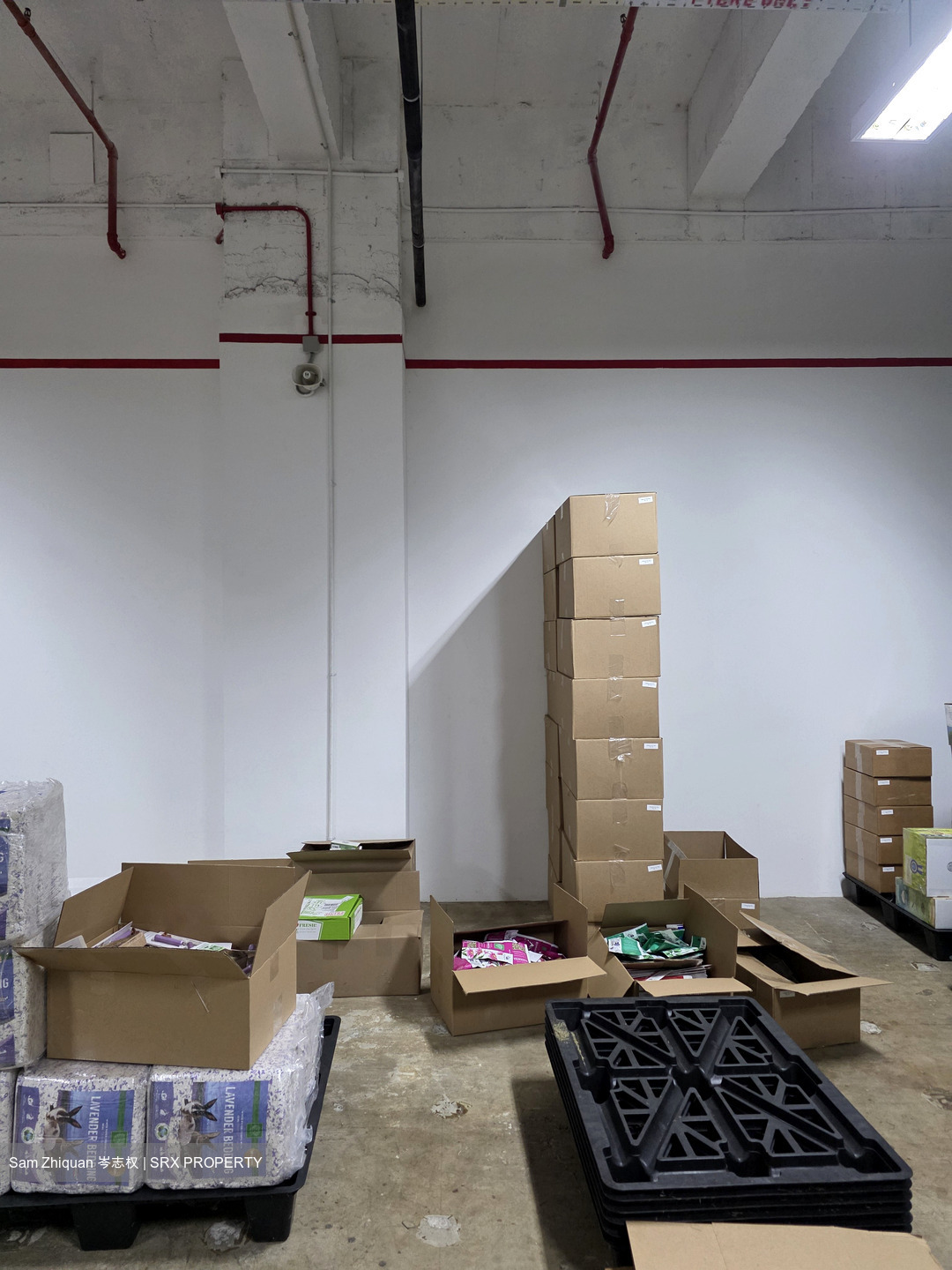 Ang Mo Kio Industrial Park 2 (D20), Factory #560102901